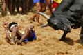 Over 50 injured in ’Jallikattu’ -bull taming sport